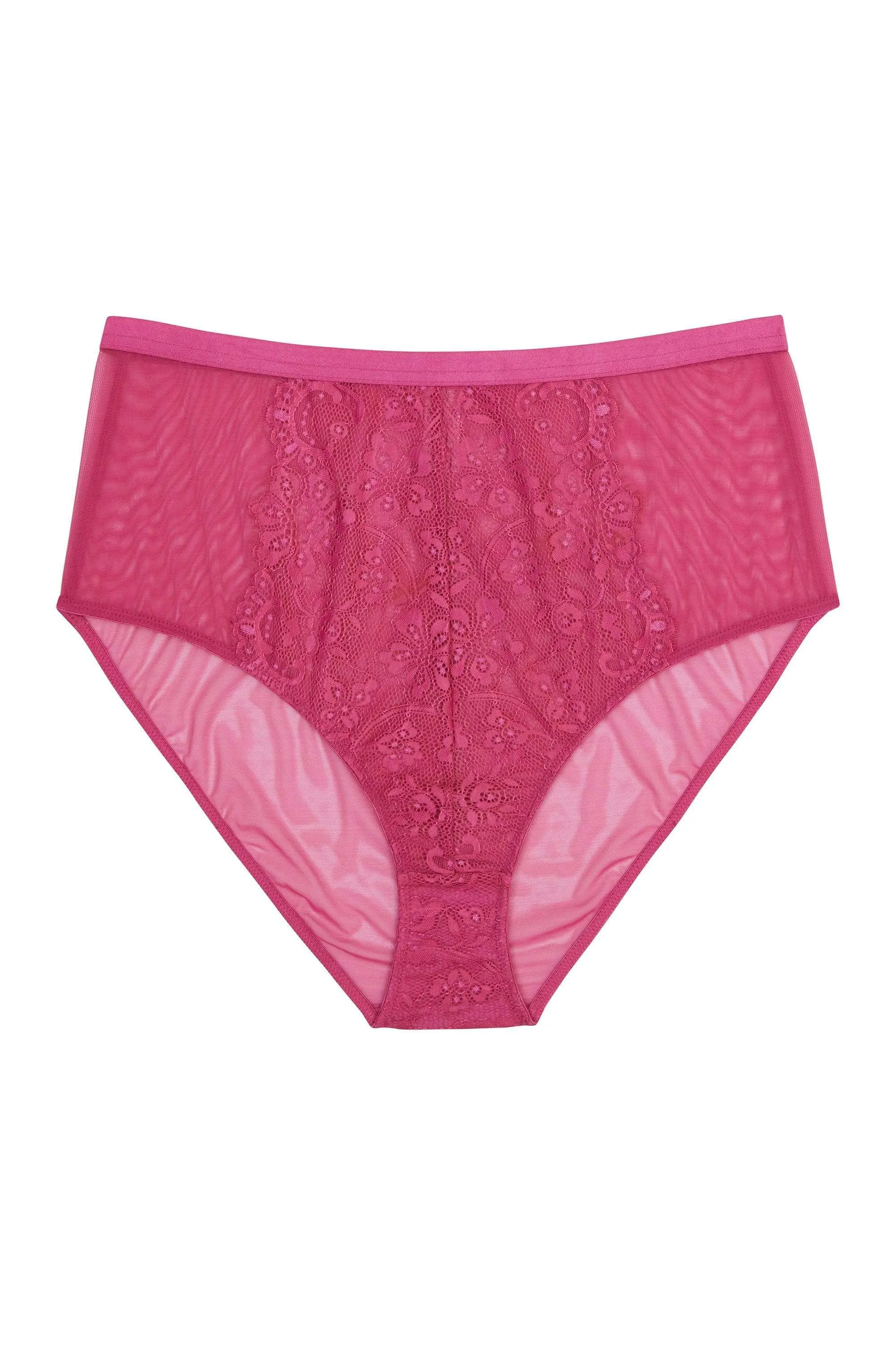 Gabi Fresh Bella Lace High Waist Brief Pink