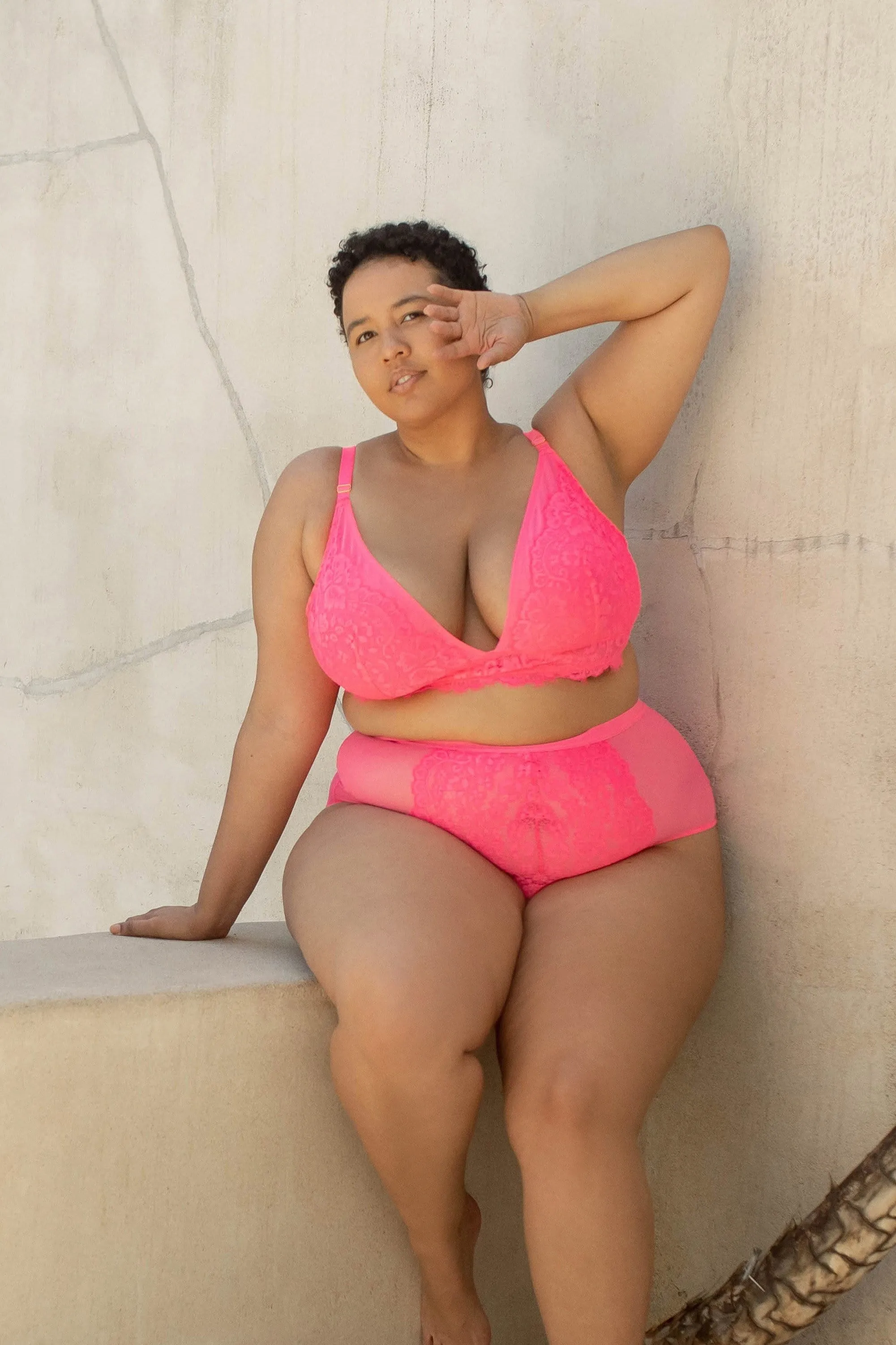 Gabi Fresh Bella Lace High Waist Brief Pink