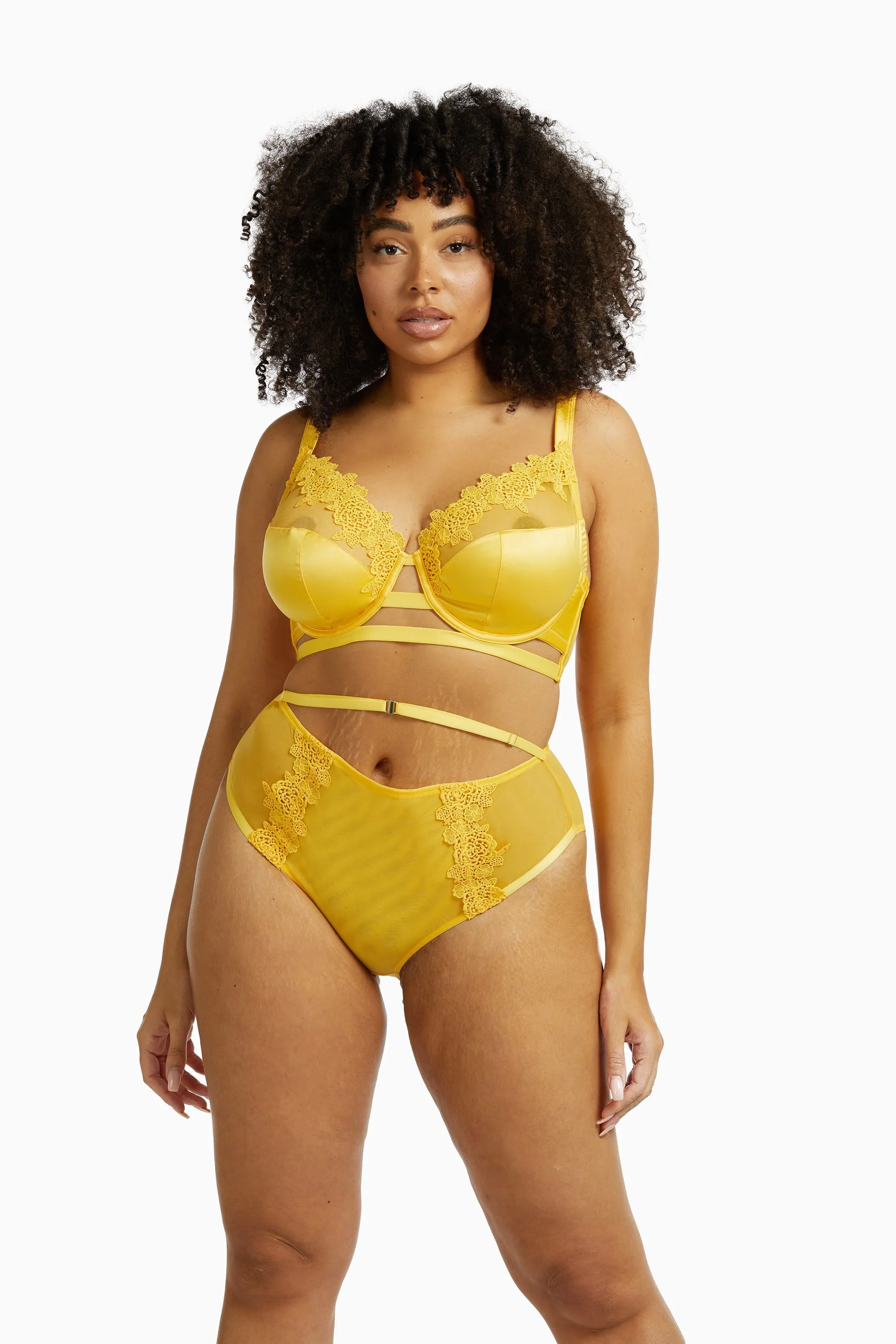 Playful Promises Vivienne Mustard Net Satin and Lace Trim Curve Bra