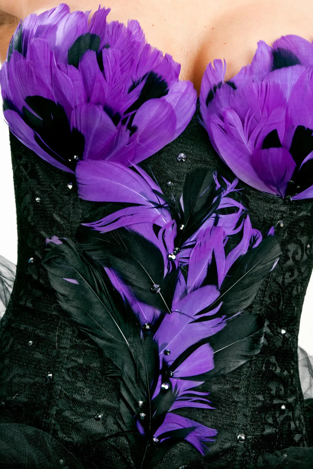Wild Bird 2 Corset